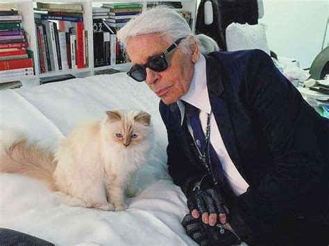 karl lagerfeld net worth cat